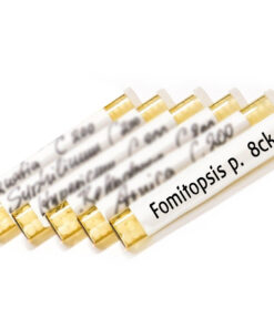 Globules in brown glass tube