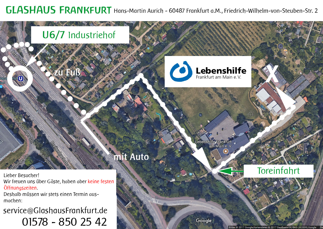 Directions to GLASHAUS Frankfurt